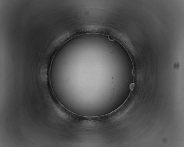 X0000101970633200807181106