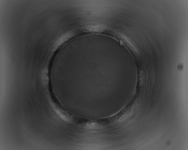X0000101970634200807181106