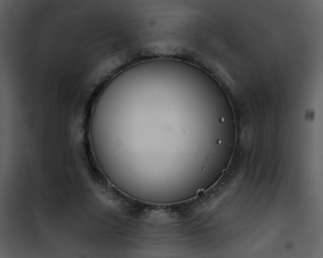 X0000101970635200807181106