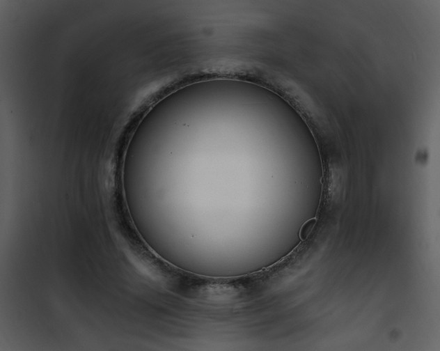 X0000101970636200807181106