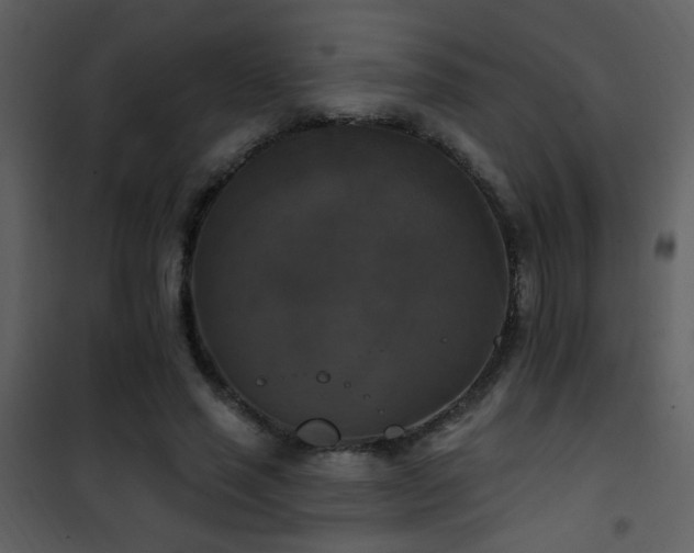 X0000101970637200807181106