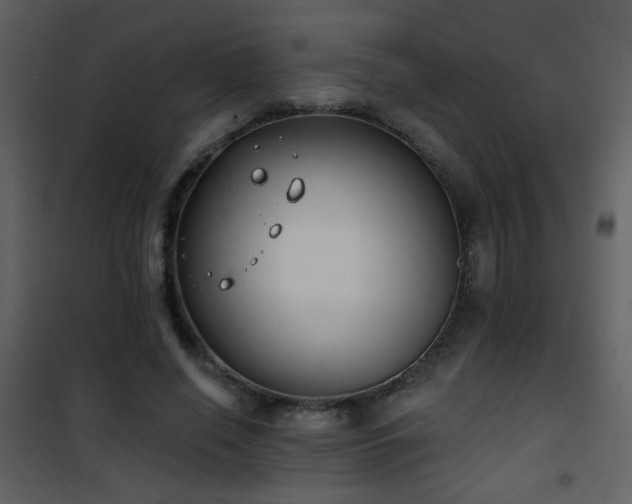 X0000101970638200807181106