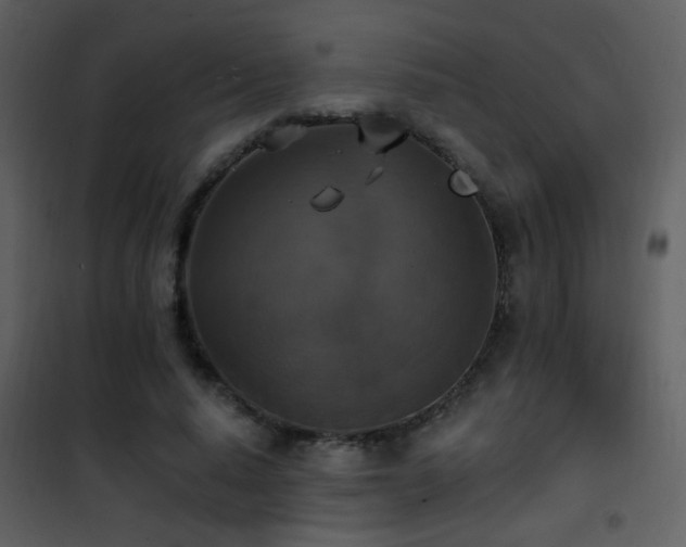 X0000101970640200807181106