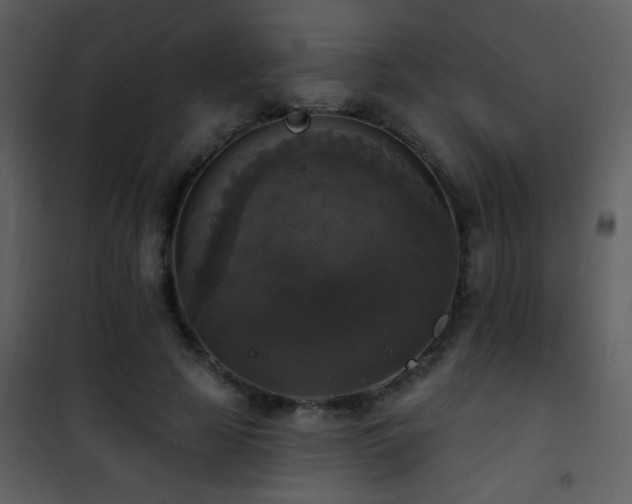 X0000101970641200807181106