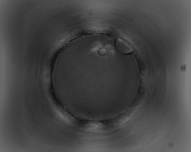 X0000101970642200807181106