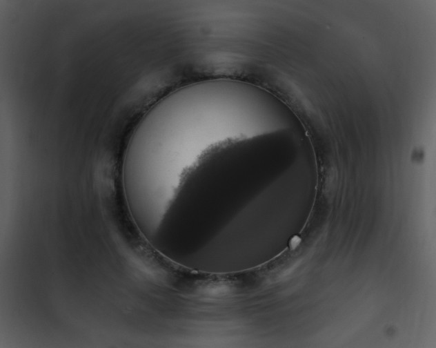 X0000101970643200807181106
