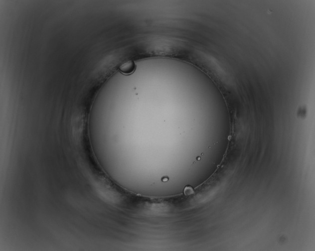 X0000101970645200807181106