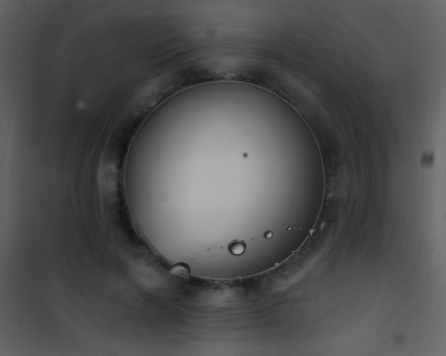 X0000101970646200807181106