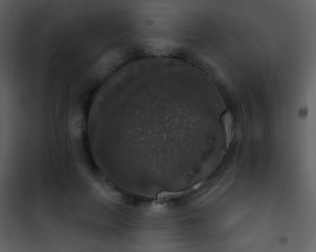 X0000101970647200807181106