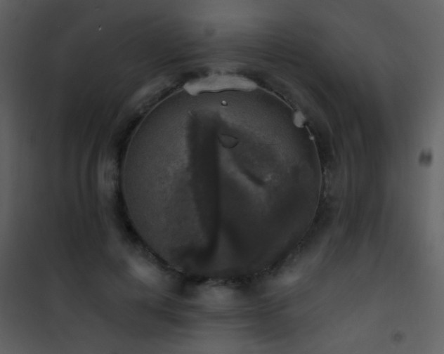 X0000101970648200807181106
