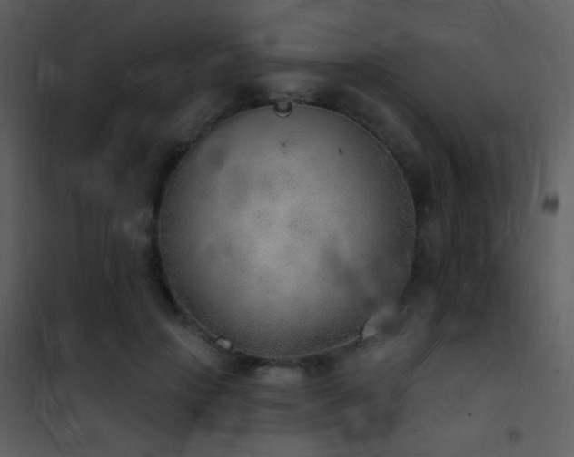 X0000101970649200807181106
