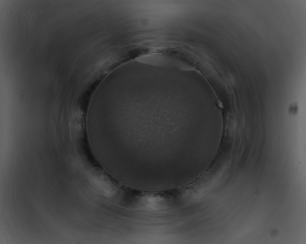 X0000101970650200807181106