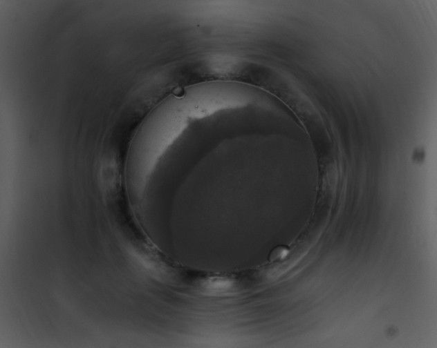 X0000101970651200807181106