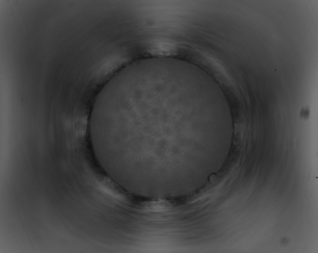 X0000101970652200807181106
