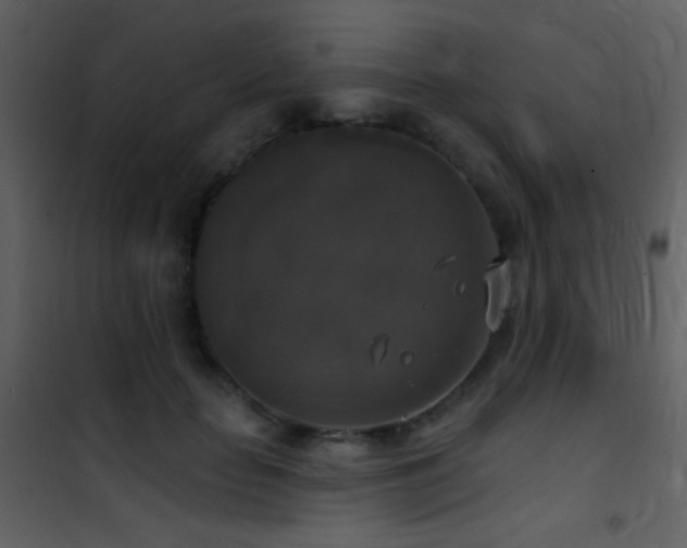 X0000101970653200807181106