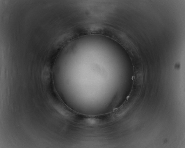 X0000101970654200807181106