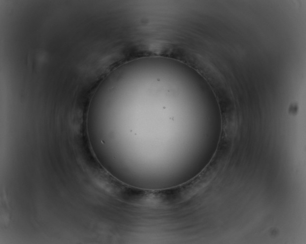 X0000101970656200807181106
