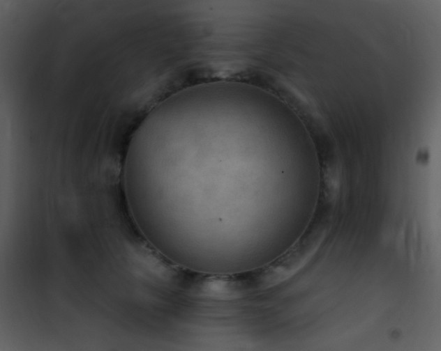 X0000101970657200807181106