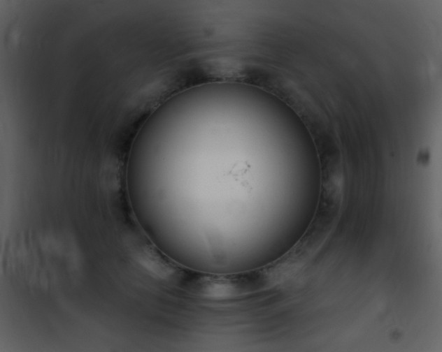X0000101970658200807181106