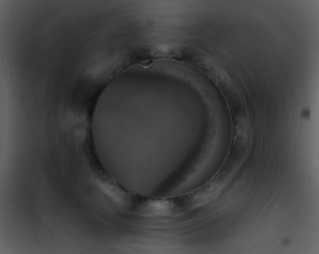 X0000101970659200807181106