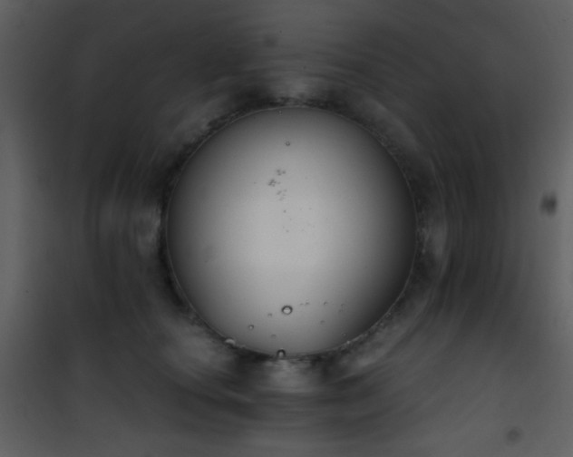 X0000101970660200807181106