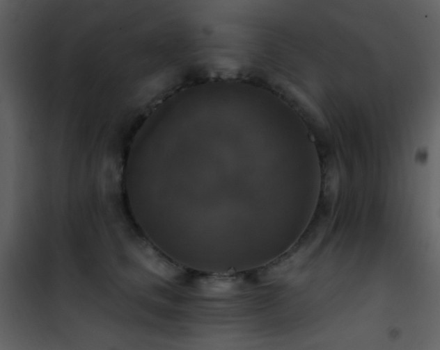 X0000101970661200807181106