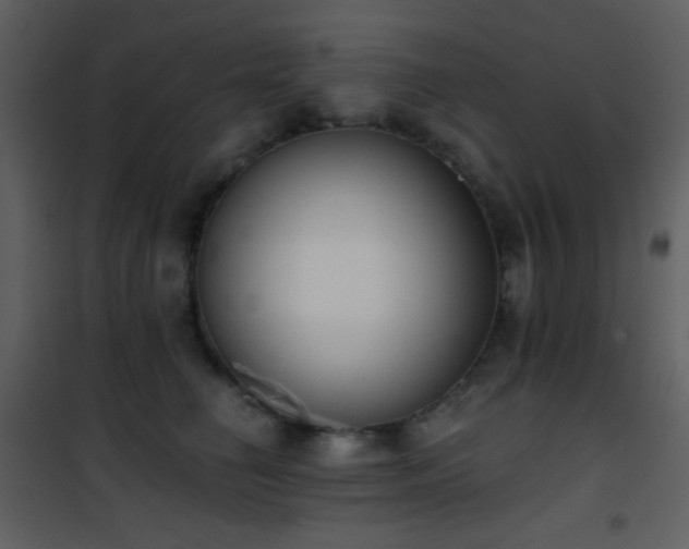 X0000101970662200807181106