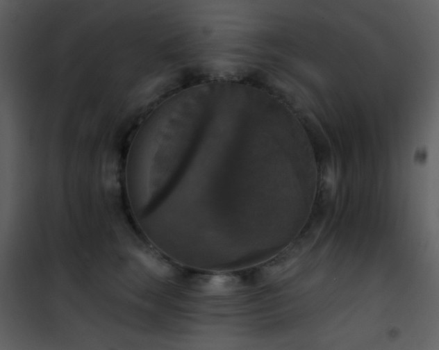 X0000101970663200807181106