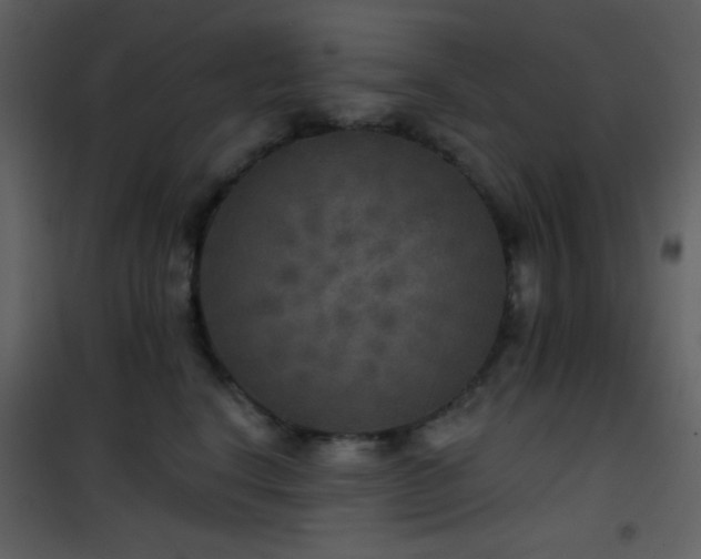 X0000101970664200807181106