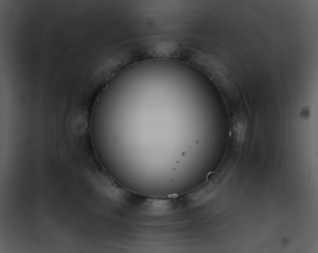 X0000101970665200807181106