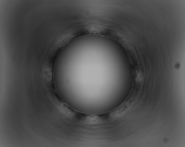 X0000101970666200807181106