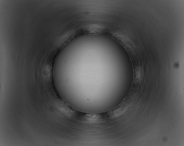 X0000101970667200807181106