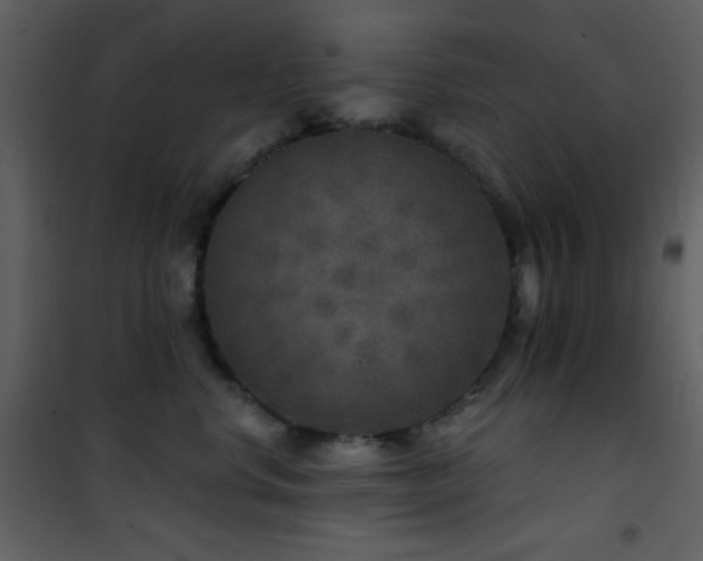 X0000101970668200807181106