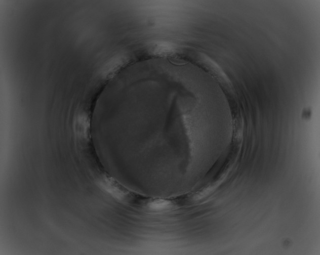 X0000101970669200807181106