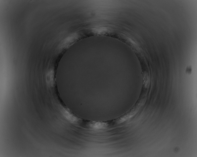 X0000101970670200807181106