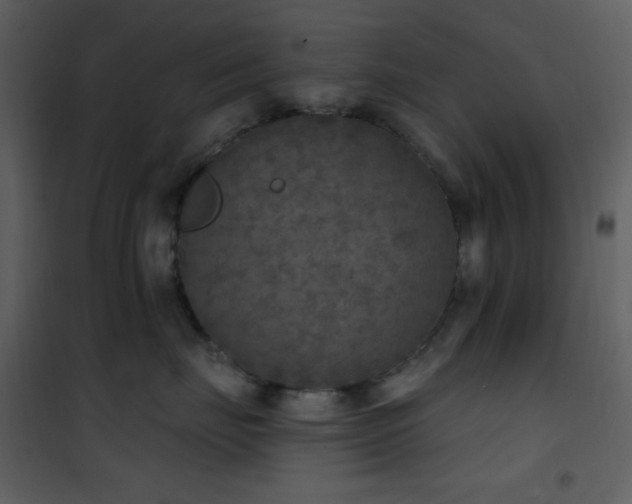 X0000101970671200807181106