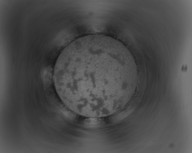 X0000101970672200807181106