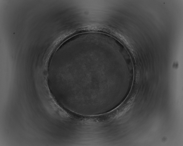 X0000101970673200807181106