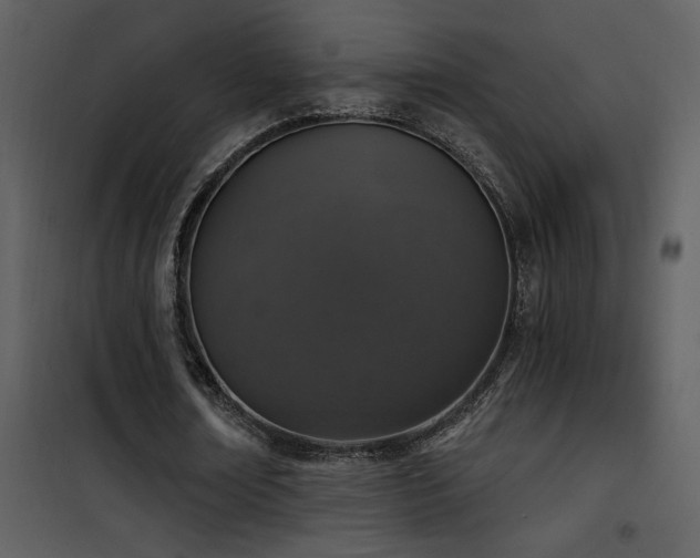 X0000101970674200807181106