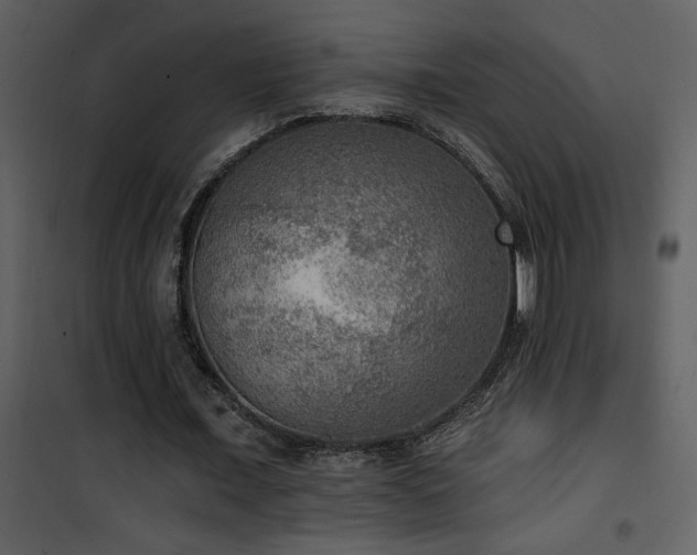 X0000101970675200807181106