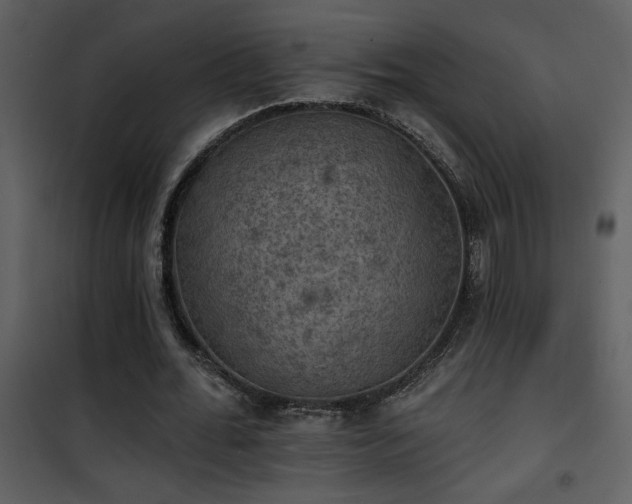 X0000101970676200807181105