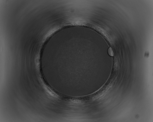 X0000101970677200807181105