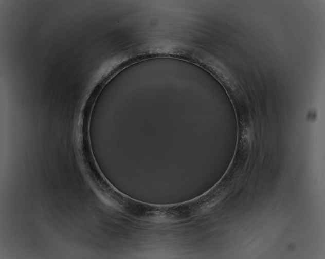 X0000101970678200807181105