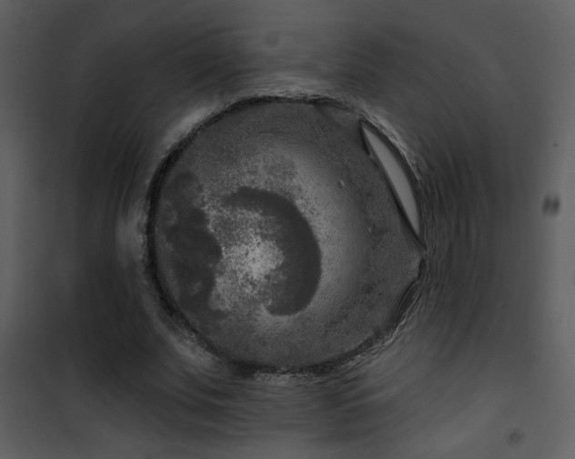 X0000101970679200807181105