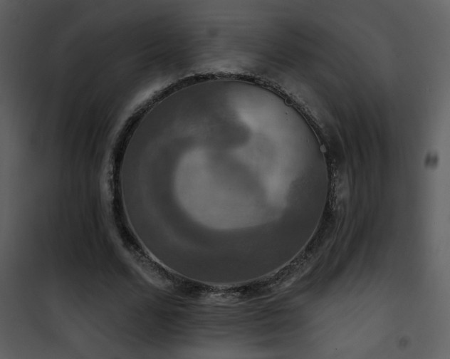 X0000101970680200807181105