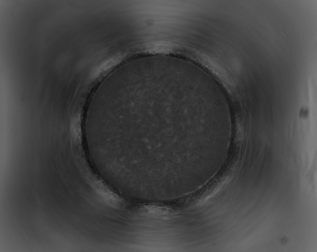 X0000101970681200807181105