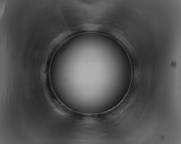 X0000101970682200807181105