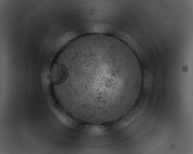 X0000101970683200807181105