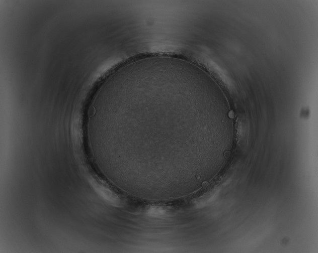 X0000101970684200807181105