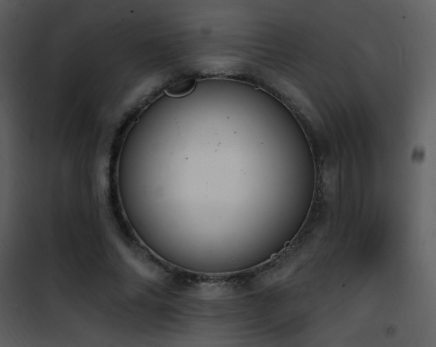 X0000101970686200807181105